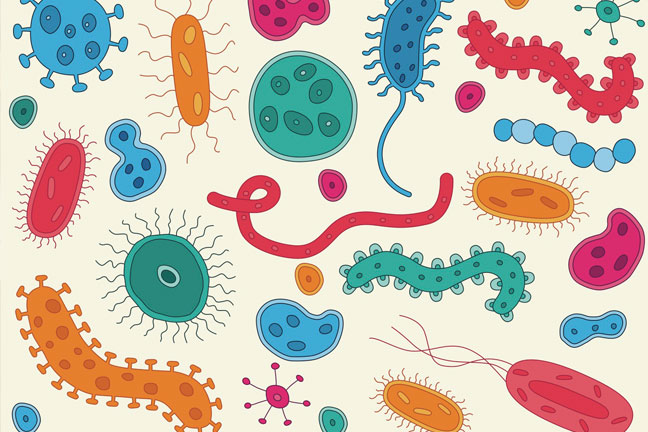 il microbiota e le cellule microbiotiche